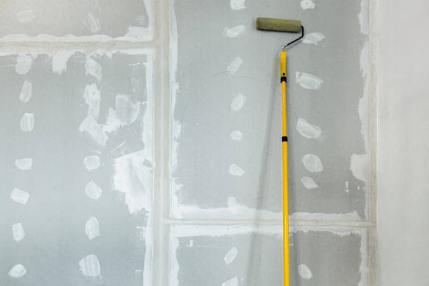 Mold Odor Removal Services in Sonora, TX